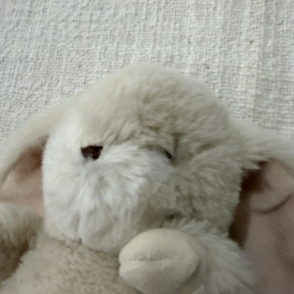 Bunnies‎ by the Bay Cream Bunny Rabbit Plush White Tiny Nibble 7 